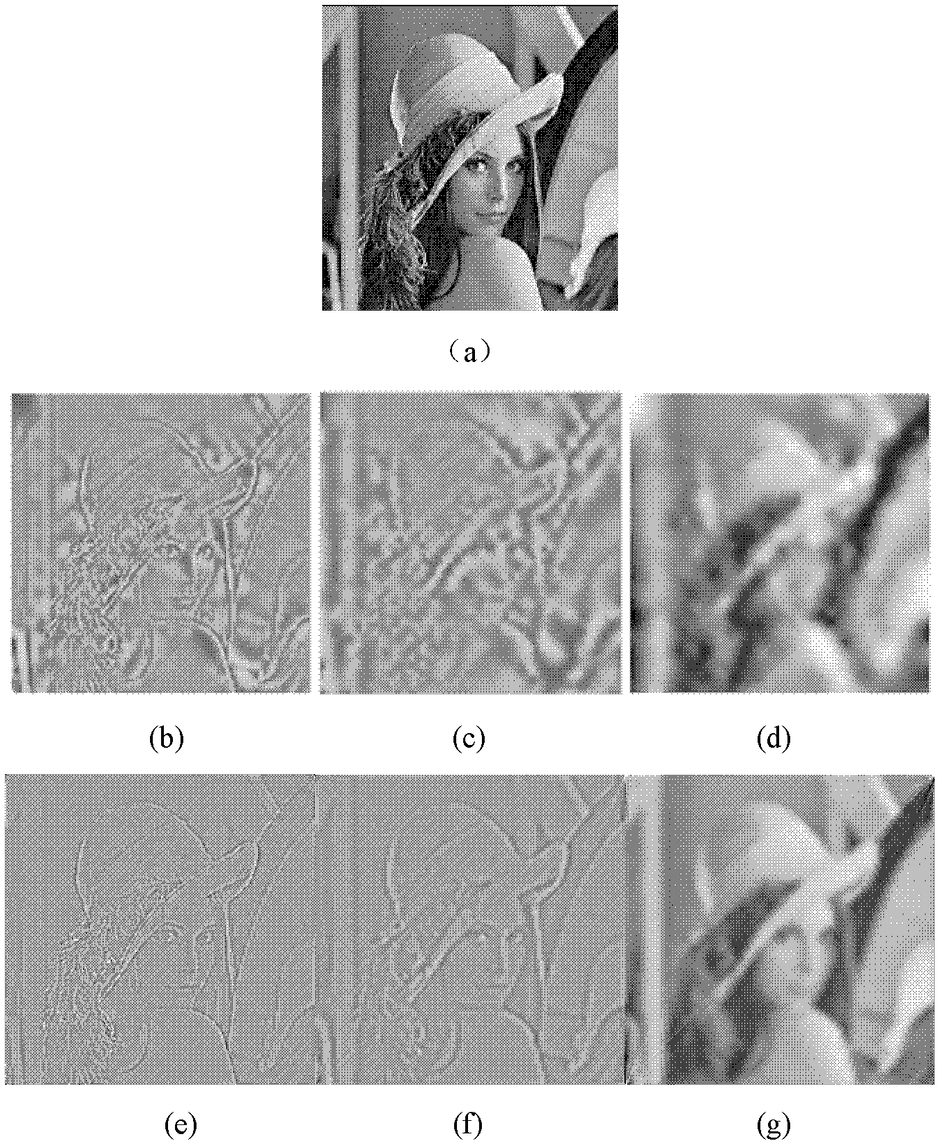 Medical image fusion method based on multidirectional empirical mode decomposition