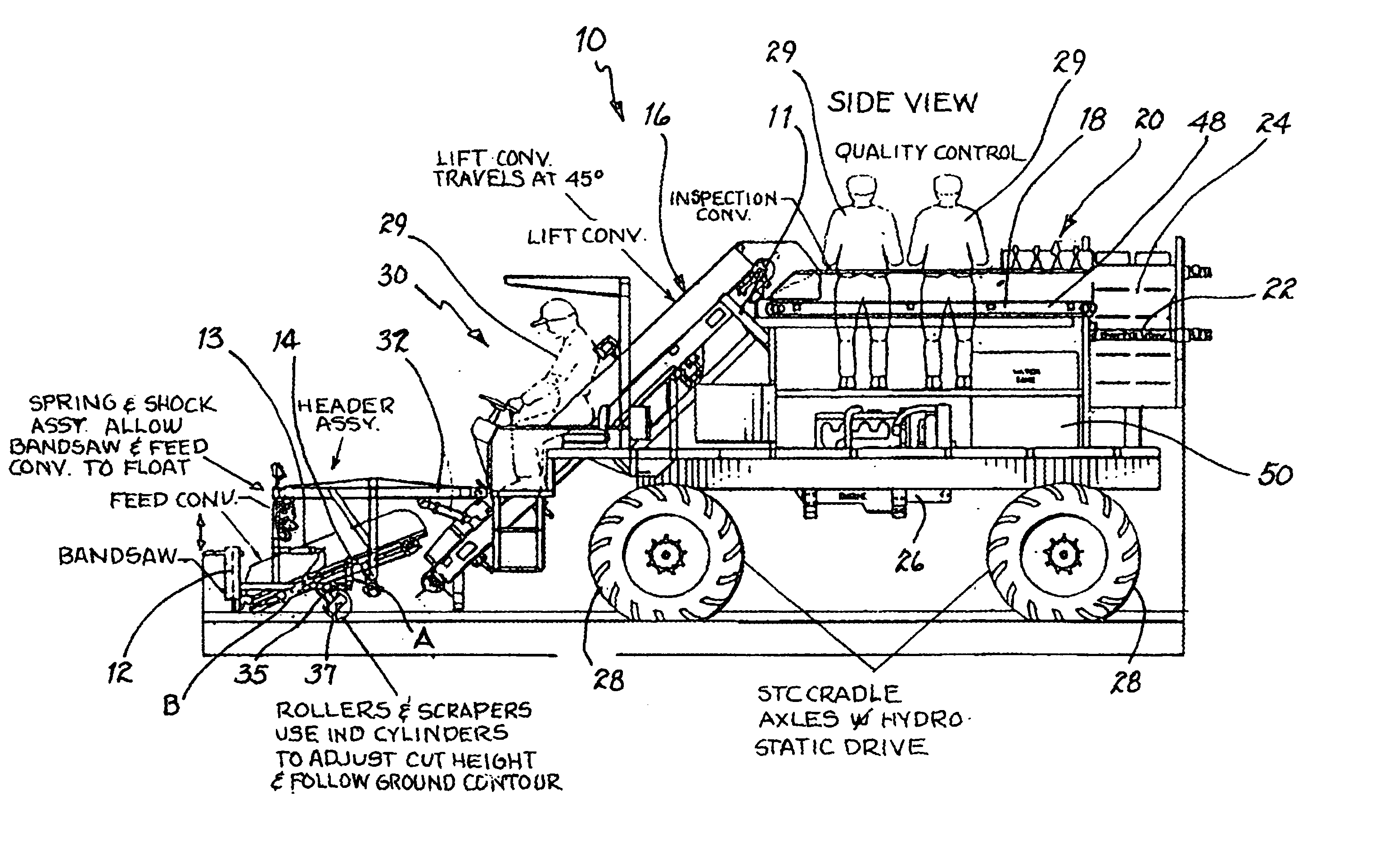 Lettuce harvesting apparatus and method therefor