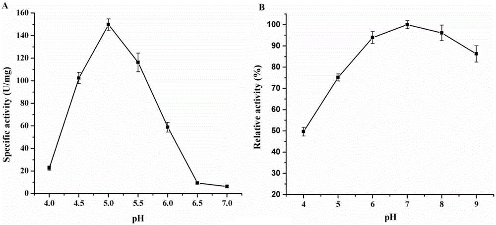 Cloning of novel glutamate decarboxylase gene and application thereof