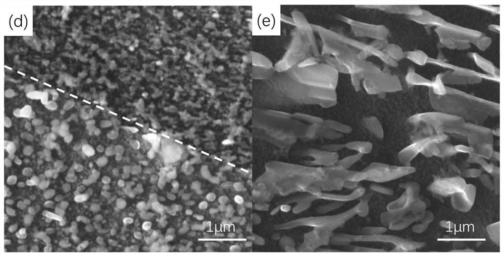 A kind of pre-deformed magnesium alloy and processing method thereof