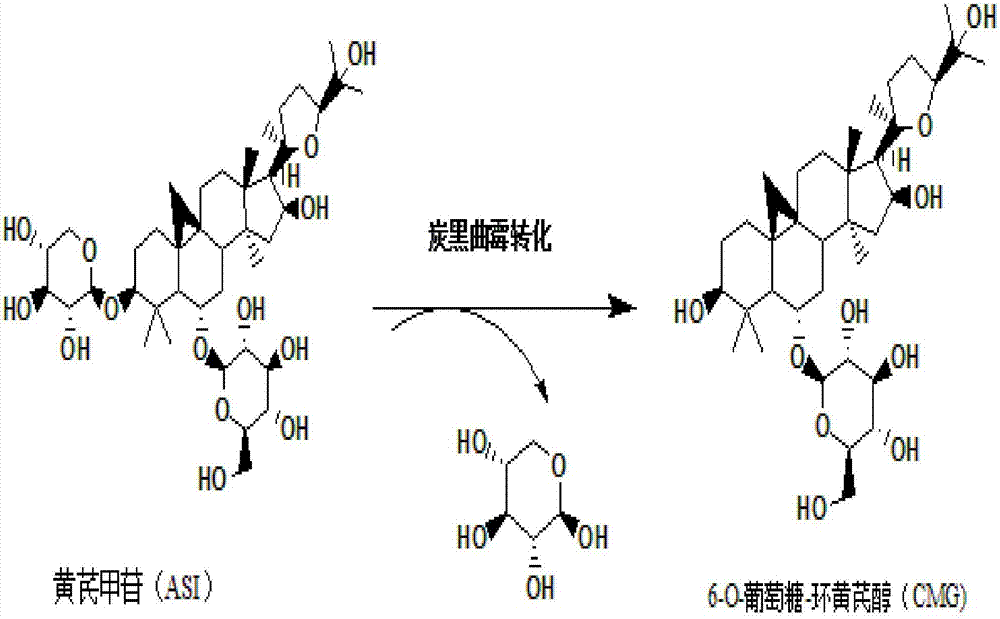 Method for preparing 6-O-glucose-cycloastragenol by transforming astragaloside through aspergillus carbonarius