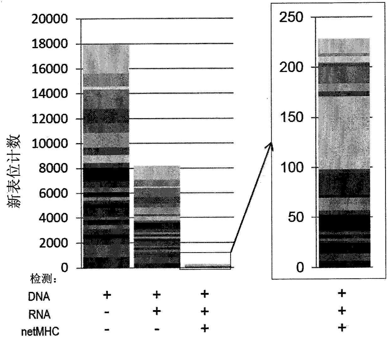 Cancer neoepitopes