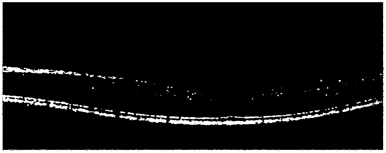 Optical coherence tomography method for layering retinal images