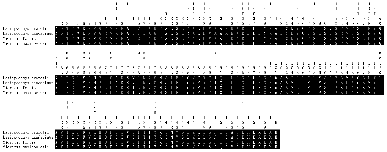 Primer Sets and Methods for Specific Amplification of the Coding Region of vkorc1 Genes of Voles and Microtus