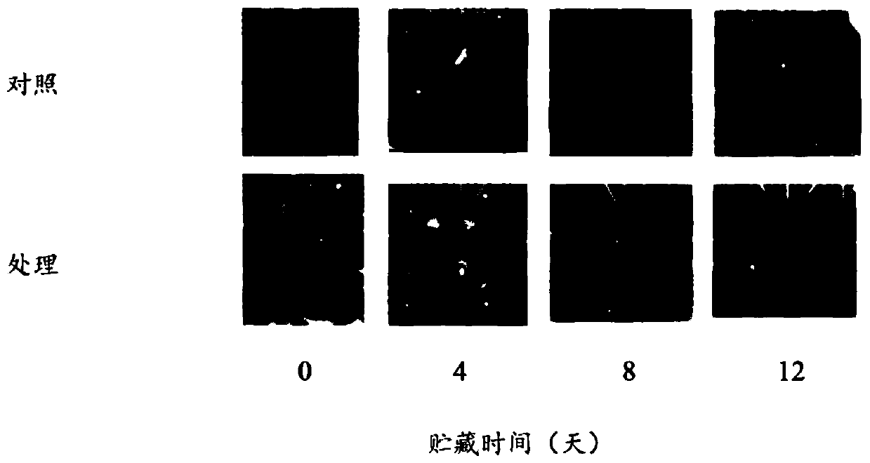 Fruit crinkle-resistant agent, as well as preparation method and application thereof