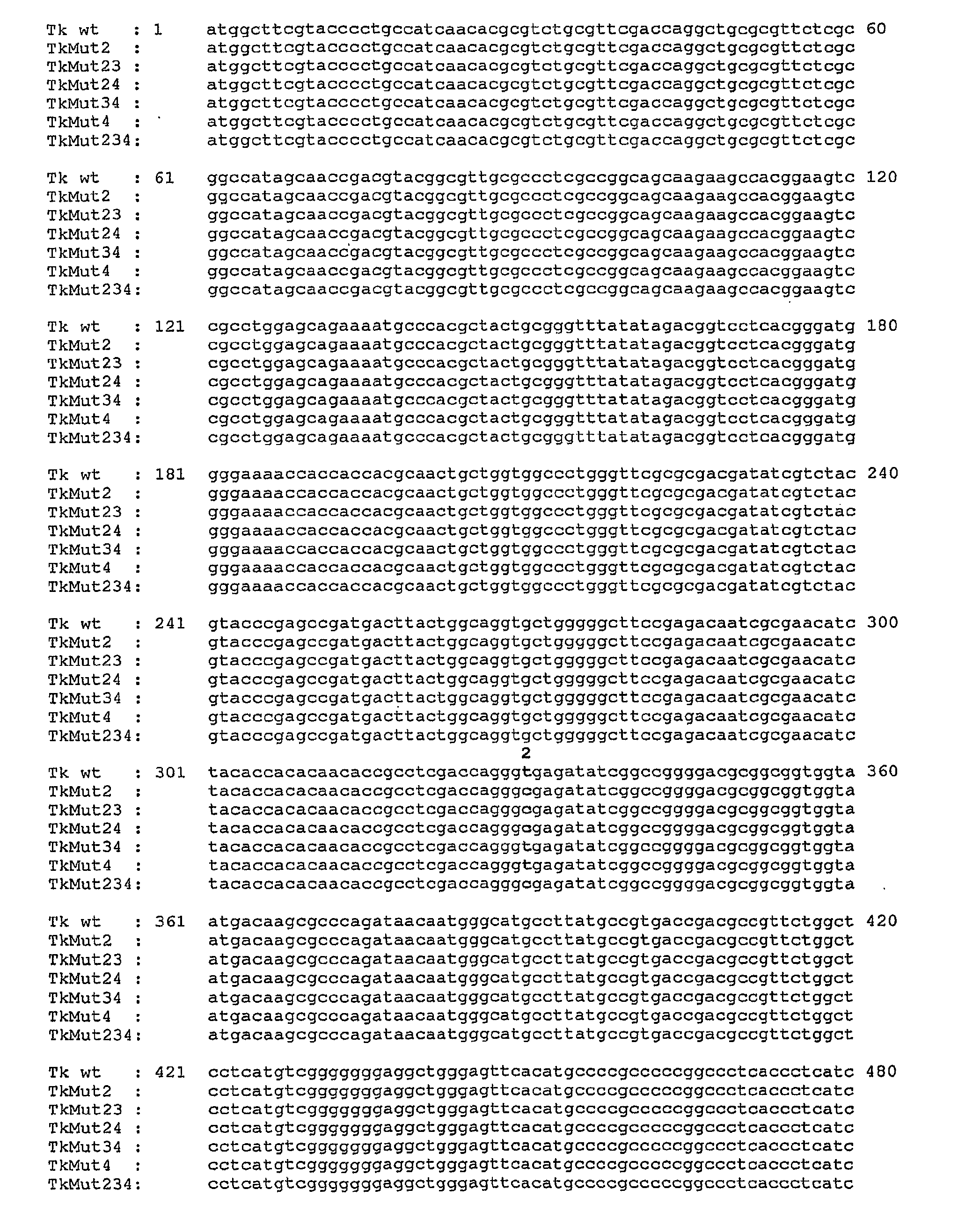 Thymidine kinase