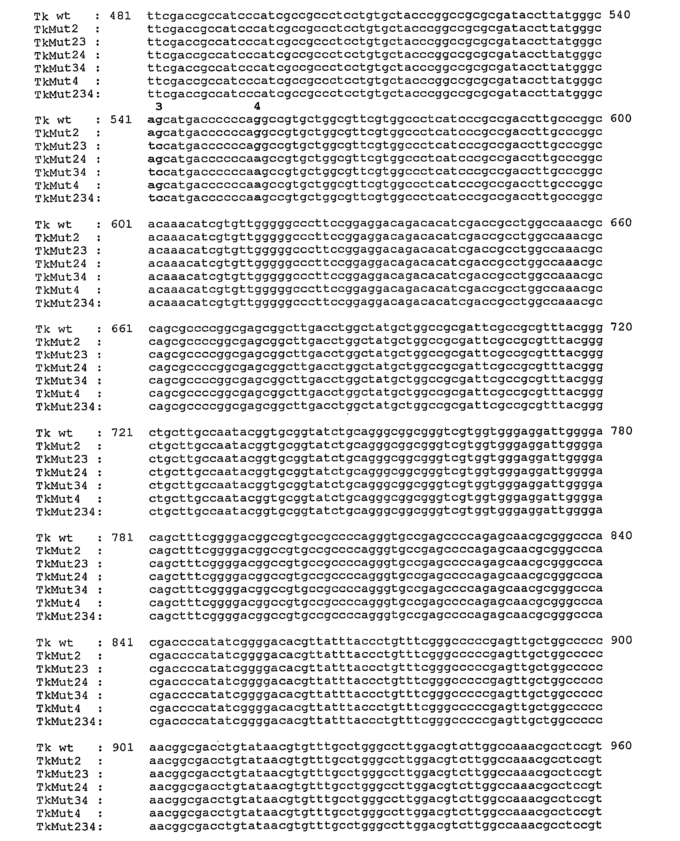 Thymidine kinase