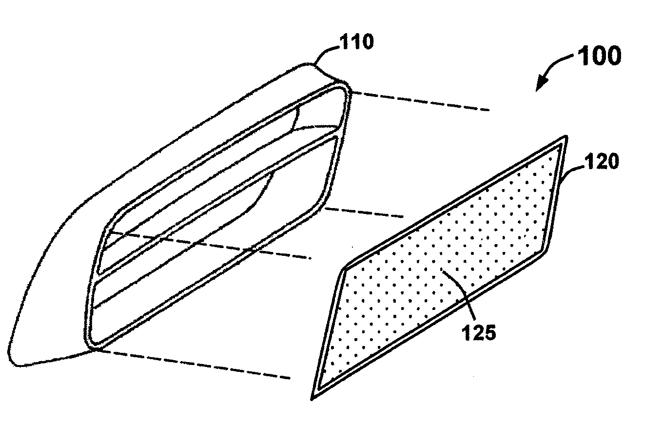 Protective screen apparatus for automotive vehicle