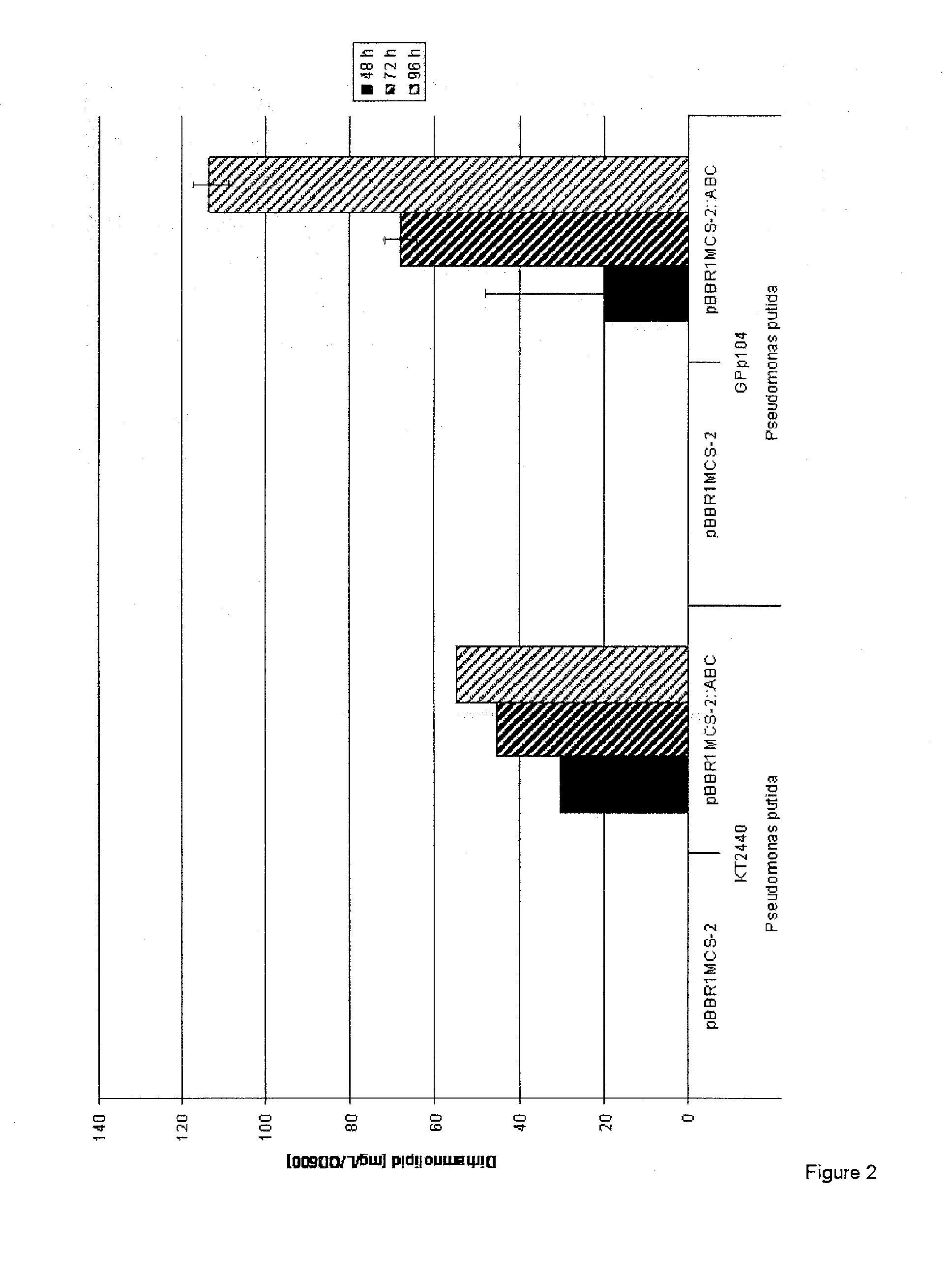 Cells and methods for producing rhamnolipids