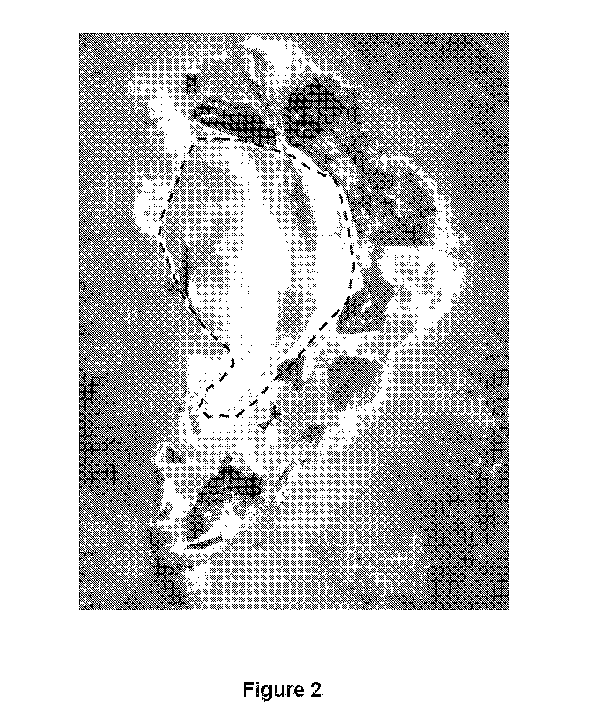 Methods for dust control on saline dry lakebeds using minimal water resources