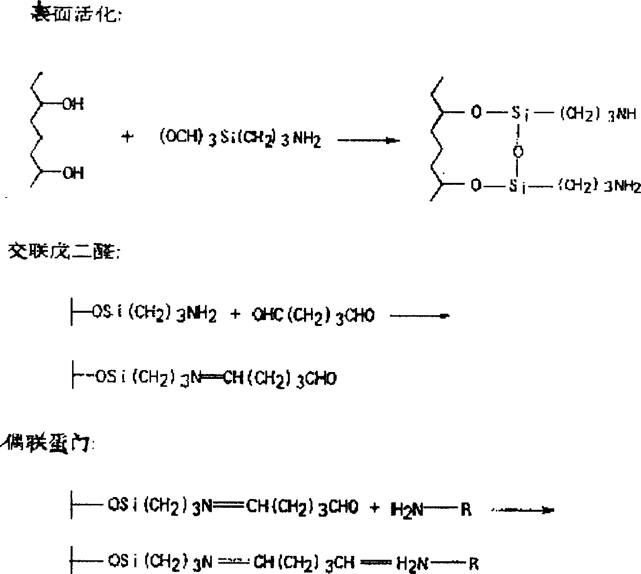 Protein chip, preparation method and usage