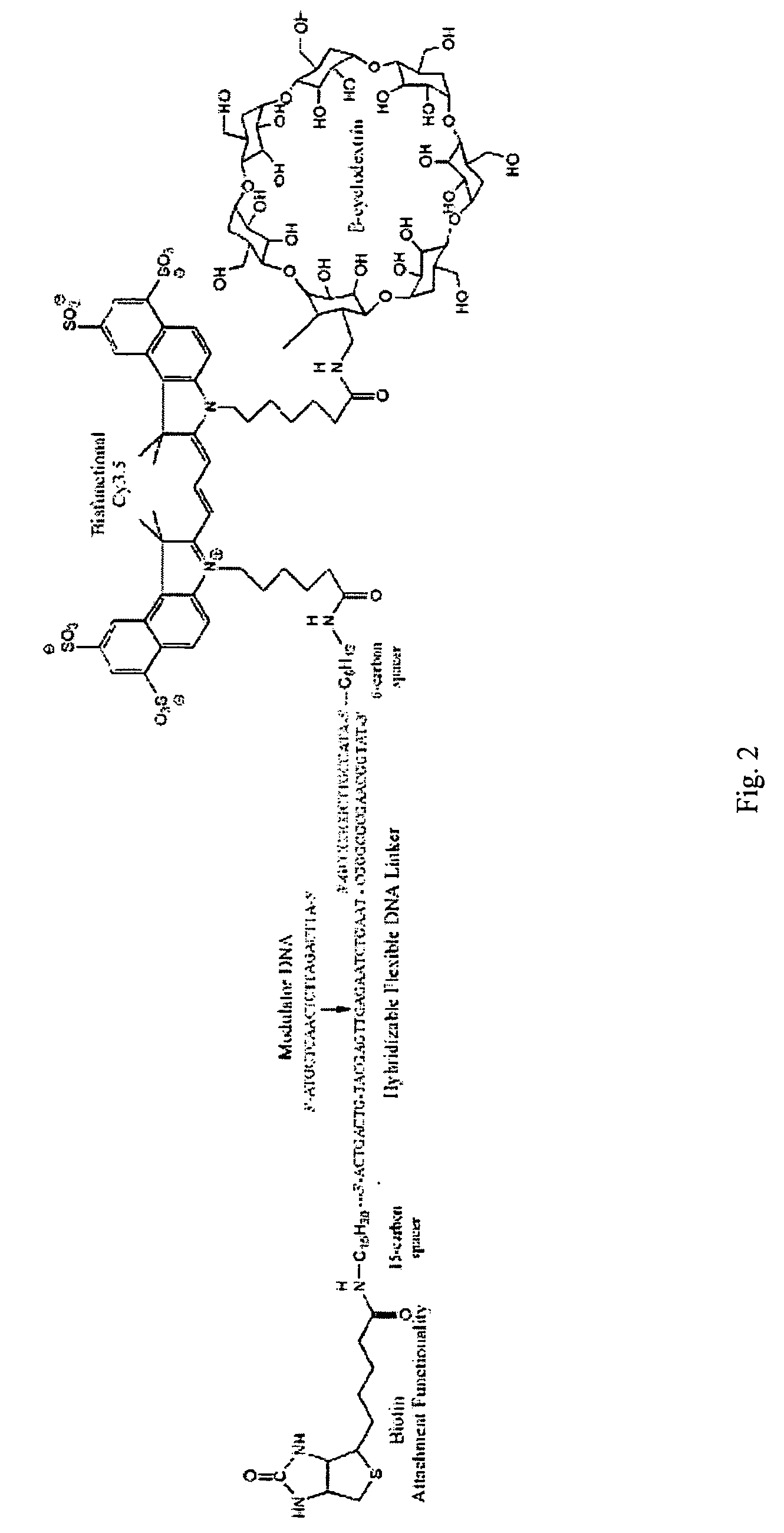 Reagentless and reusable biosensors with tunable differential binding affinities and methods of making