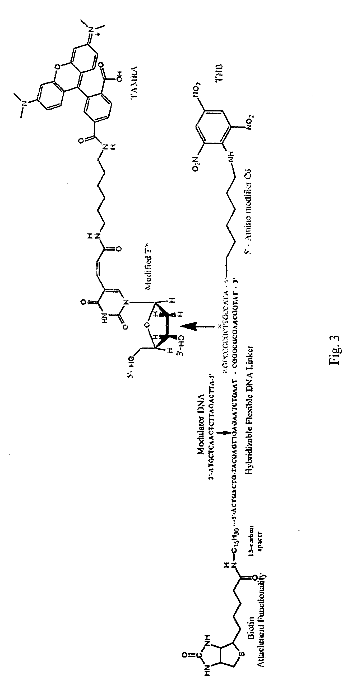 Reagentless and reusable biosensors with tunable differential binding affinities and methods of making