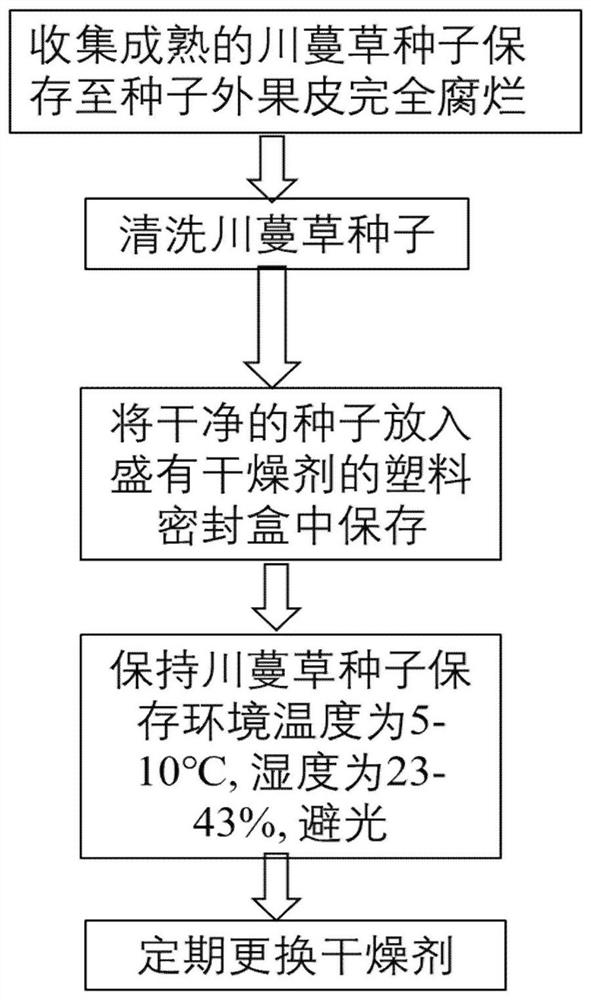 A kind of dry preservation method of chrysanthemum seed