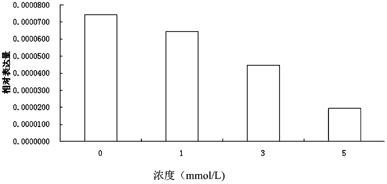 Strontium chondroitin sulfate and its preparation method
