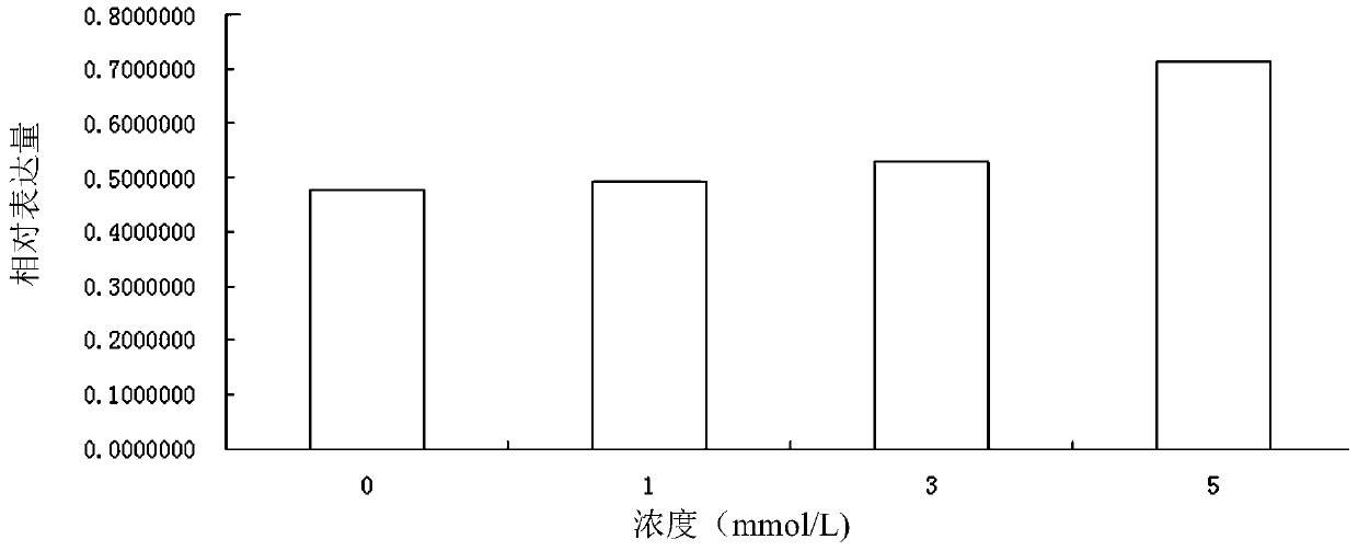 Strontium chondroitin sulfate and its preparation method