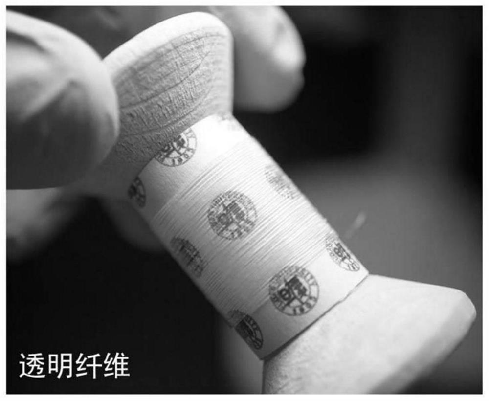 A kind of transparent conductive fiber and its preparation method and application in fabric display