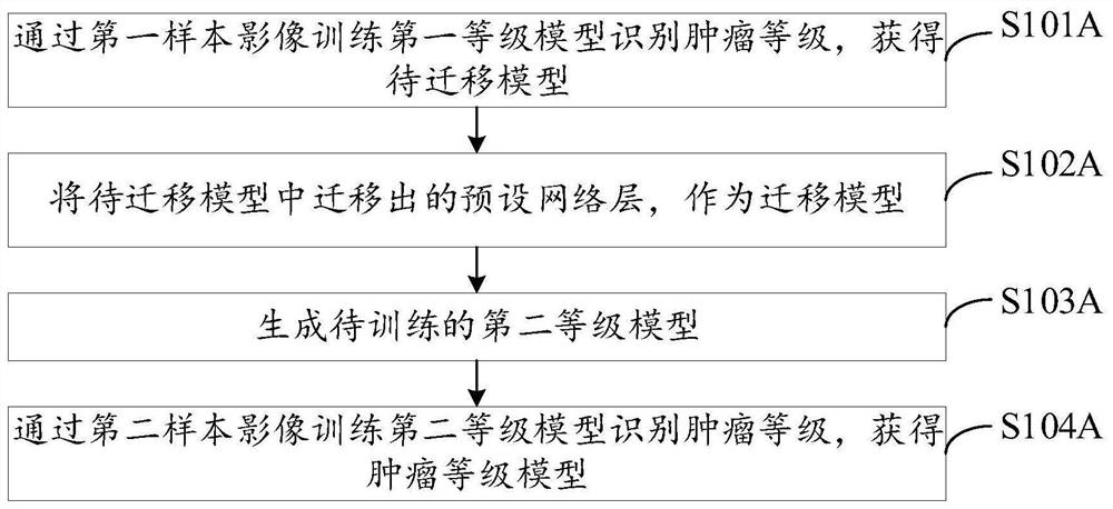 Model construction method, medical image recognition method and device and electronic equipment