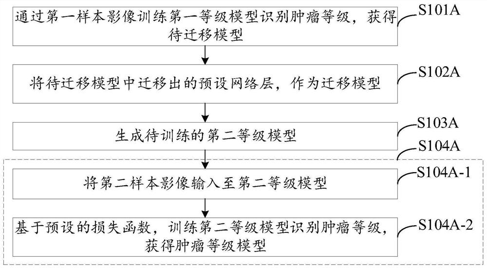 Model construction method, medical image recognition method and device and electronic equipment