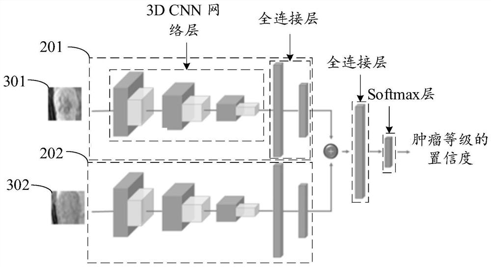 Model construction method, medical image recognition method and device and electronic equipment