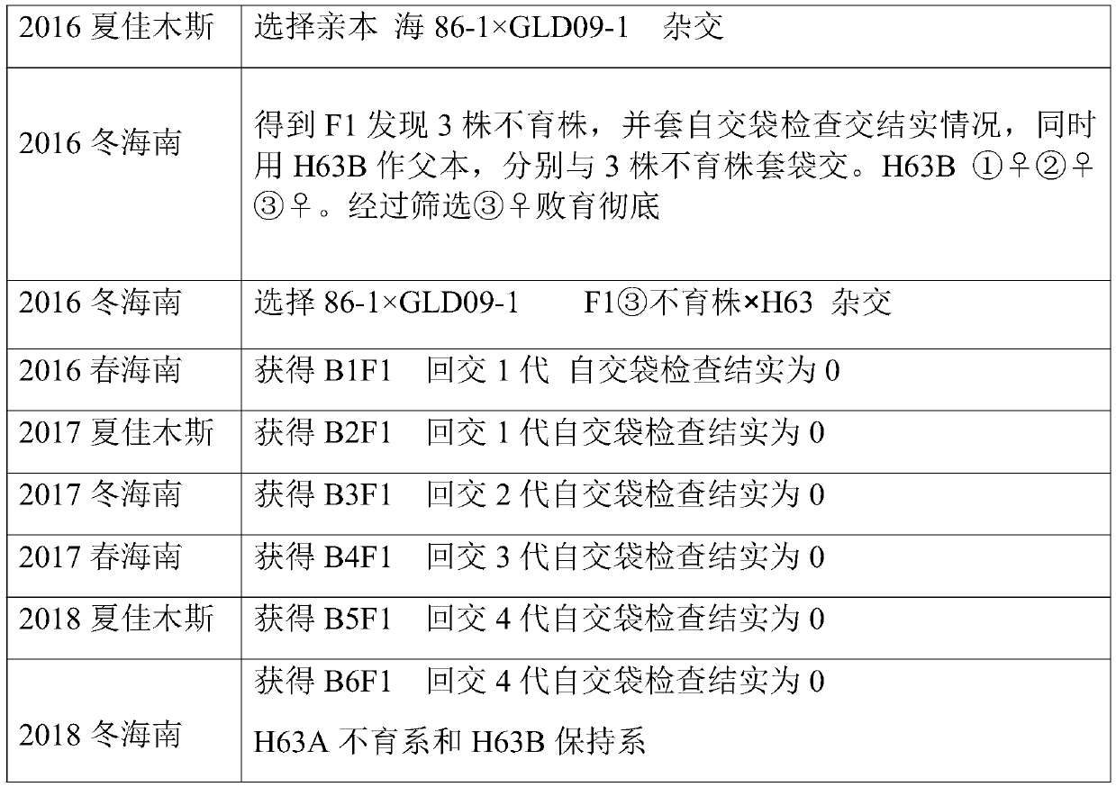 Method for selecting and breeding novel cytoplasmic sterile lines