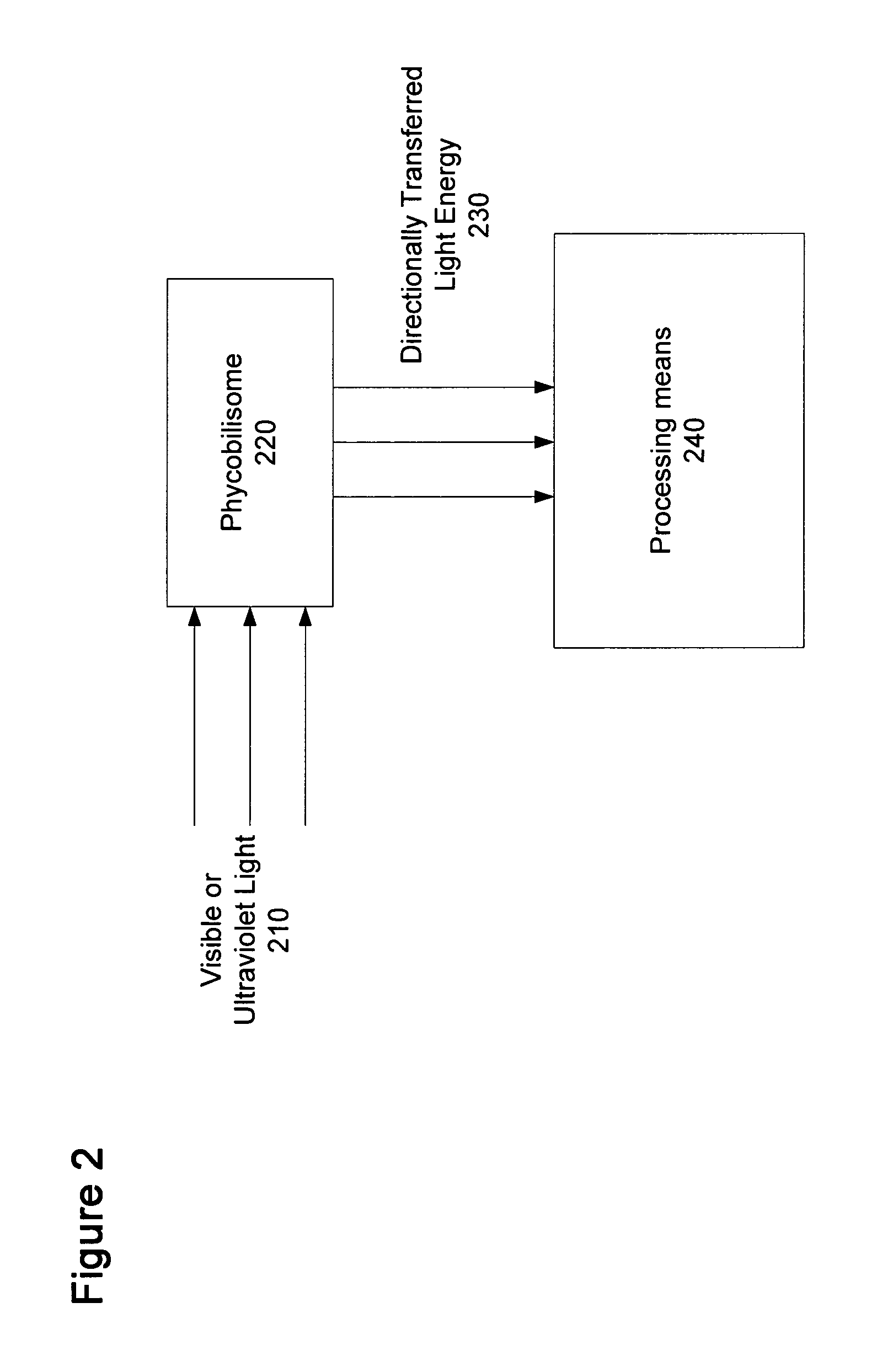 Signal processing devices comprising biological and bio-mimetic components