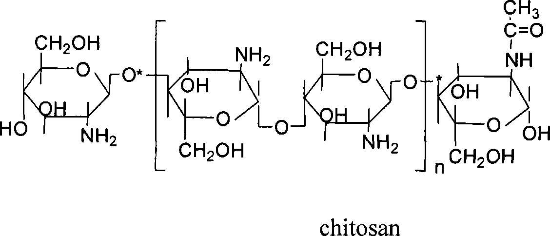 Method for preparing active chitosan oligosaccharide by using ozone to degrade chitosan