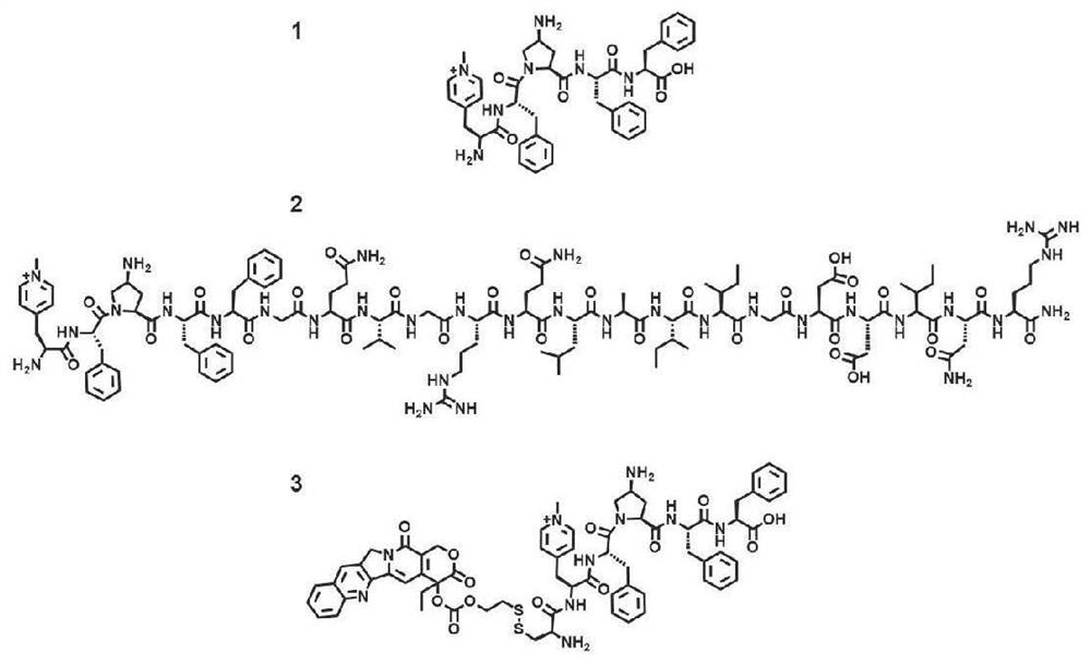 Preparation method of polypeptide supramolecular Bcl-xL antagonist nano-drug with mitochondrial targeting property