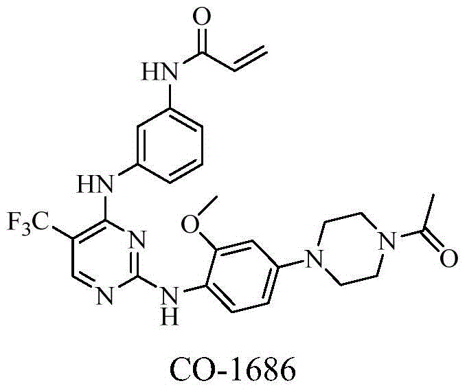 Heterocyclic derivate tyrosine kinase inhibitor