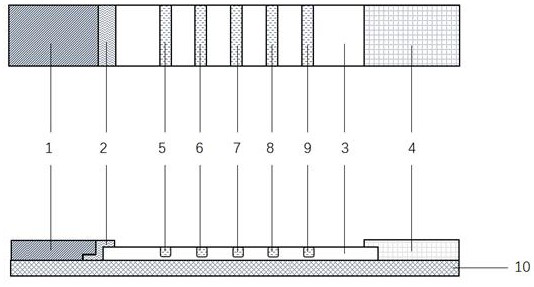 Mouse hybridoma cells and rapid diagnosis test strip for distinguishing and detecting plasmodium falciparum, plasmodium vivax, plasmodium malaria and plasmodium ovale