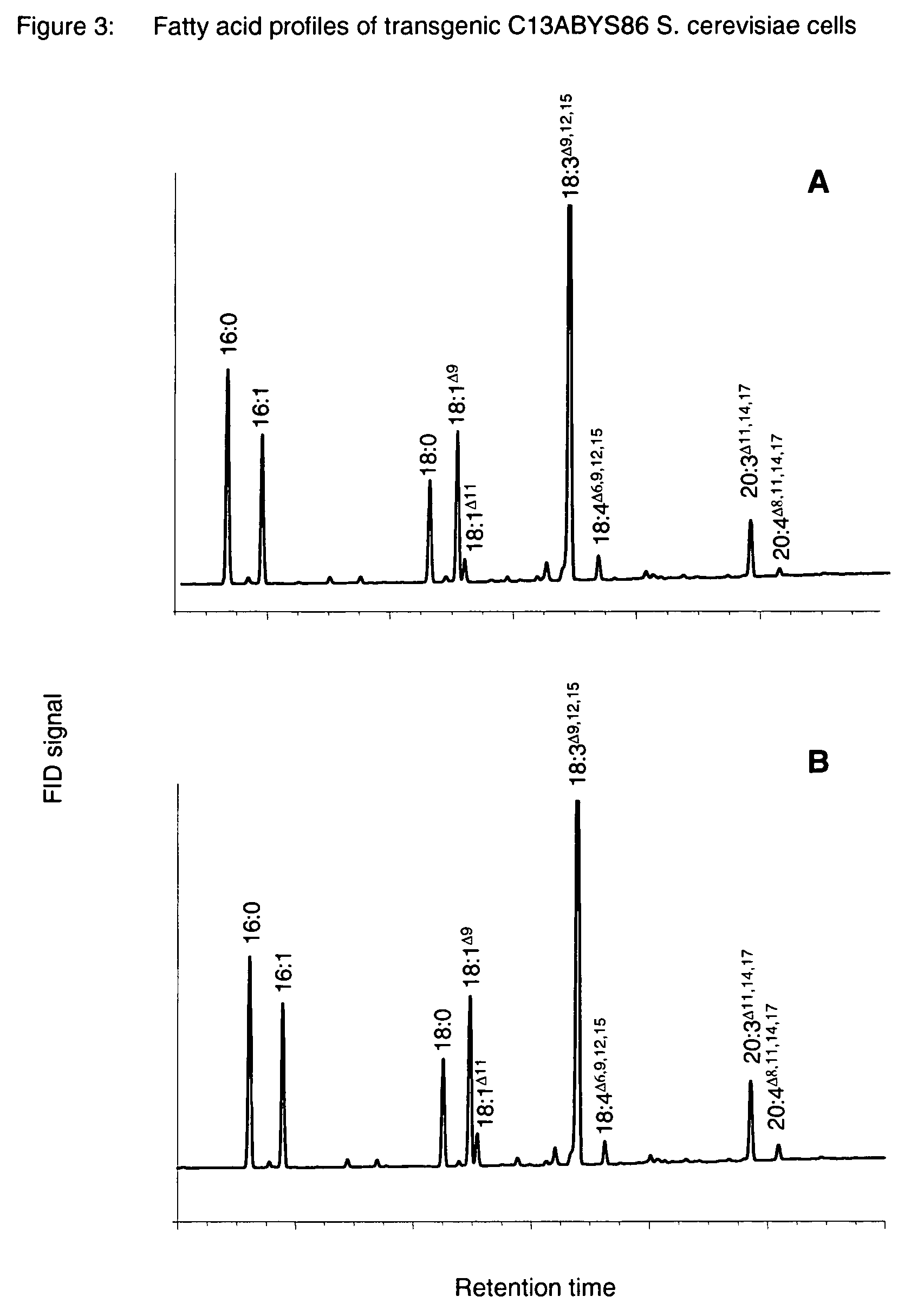 Method for the production of polyunsaturated fatty acids