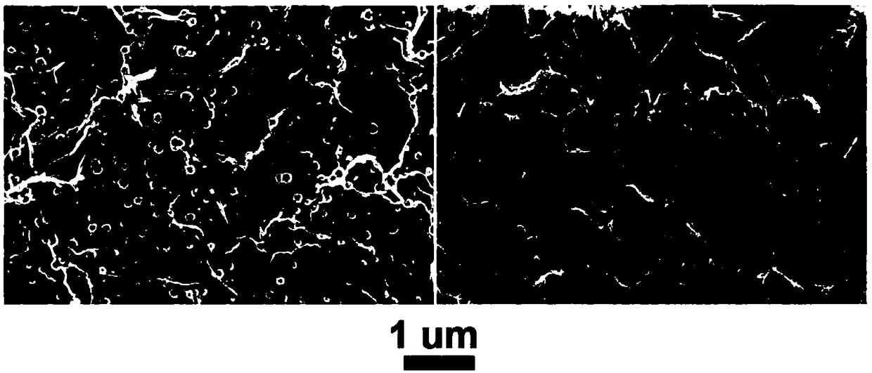 Preparation method of porous graphene/carbon nanotube flexible self-supporting film material