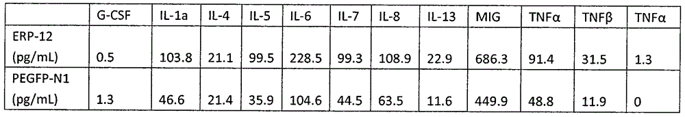 Recombinant plasmid PEGFP-12 obtained by mutating mycobacterium tuberculosis ERP 12 sequence motif to PGLTS