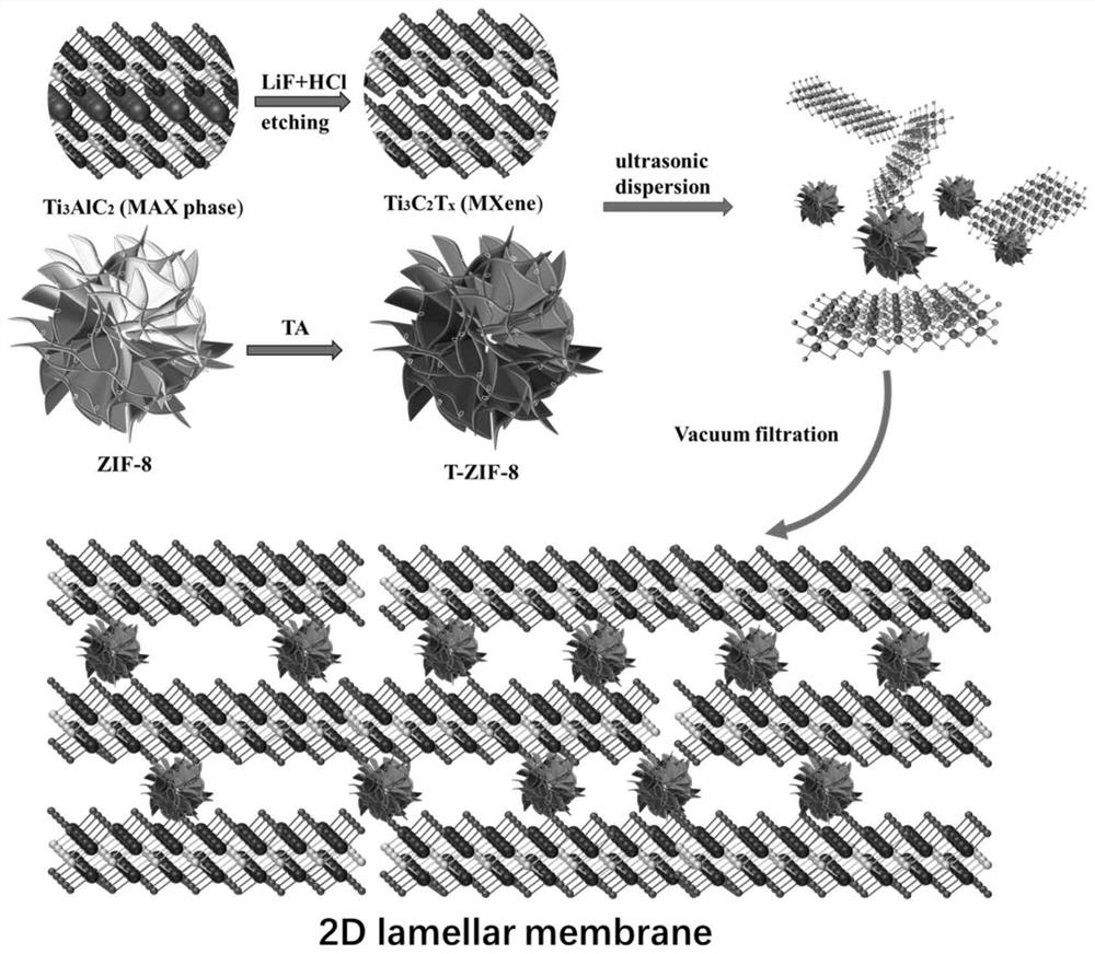 Two-dimensional MXene-based oil-water separation membrane and preparation method thereof