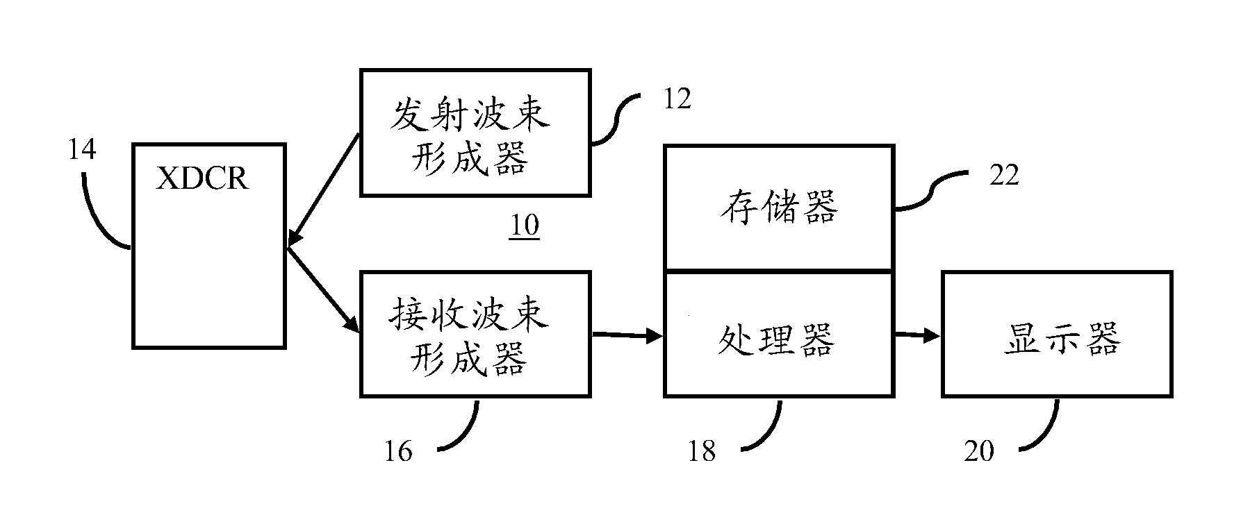 Visualization of related information in ultrasonic shear wave imaging