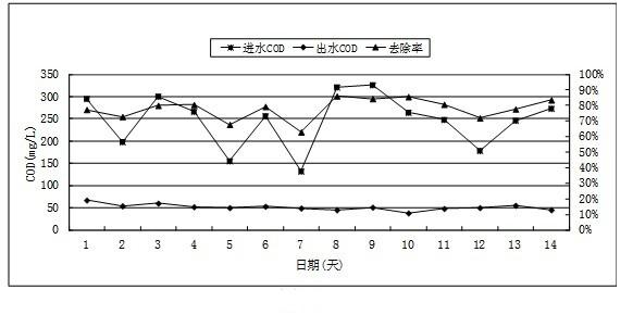 Activated sludge culture method suitable for high-salt sewage