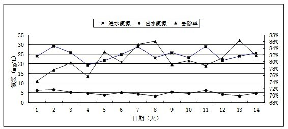 Activated sludge culture method suitable for high-salt sewage