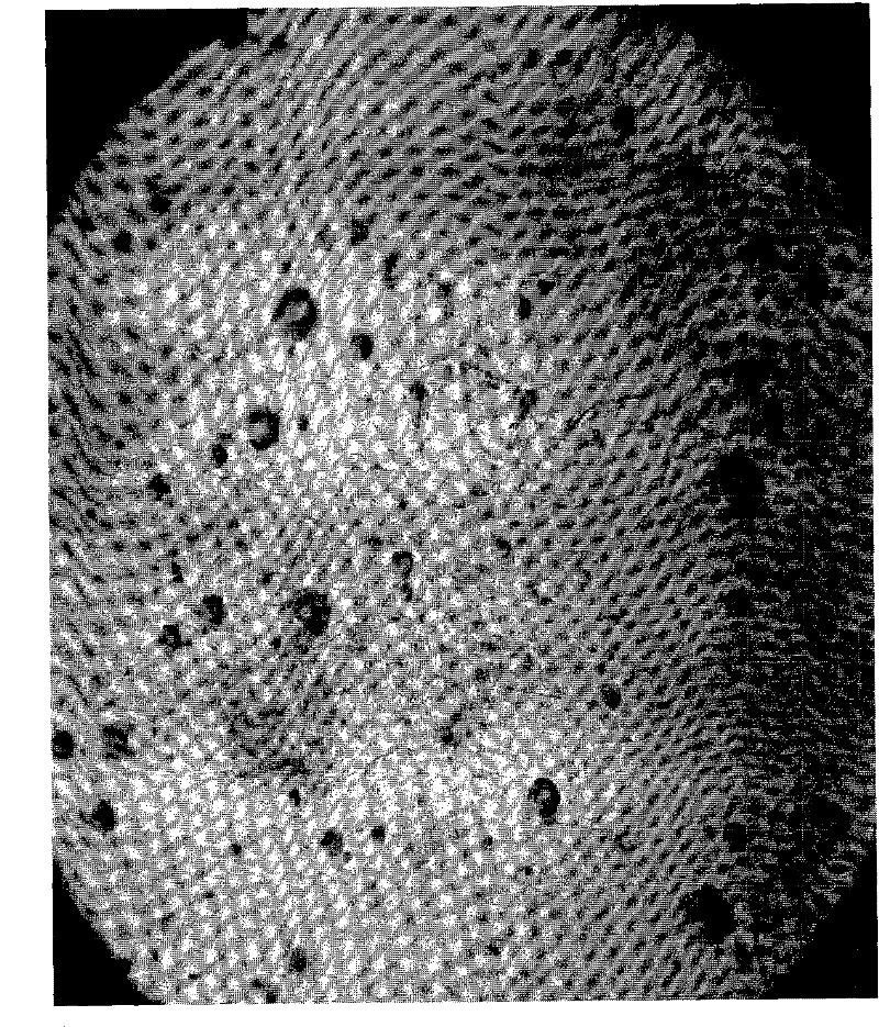 Preparation process of D-mannose