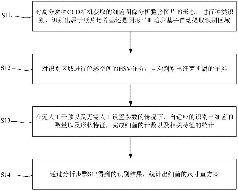 Adaptive bacterium counting method