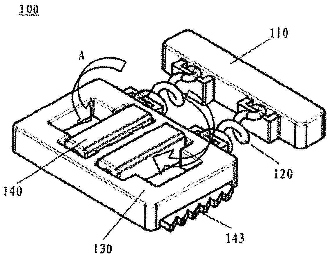 Fastening device and fastening method