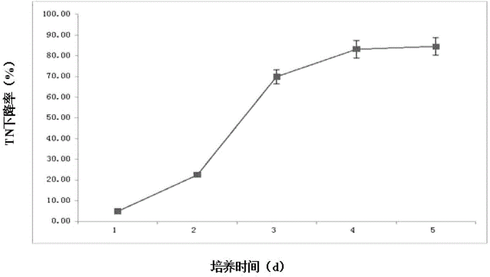 Resurrecting culturable VBNC (viable but non-culturable) arthrobacterium ODSLC13 strain as well as resurrecting method and application thereof