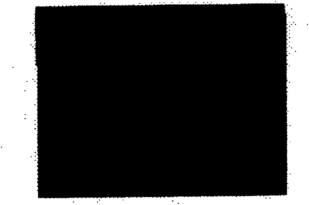 Purpose of a medicine composition in preparing medicament for enhancing effect of radiation therapy and chemotherapy