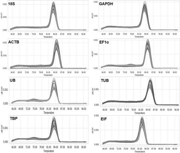 Reference gene of procambarus clarkia in-vivo tissue and primer thereof