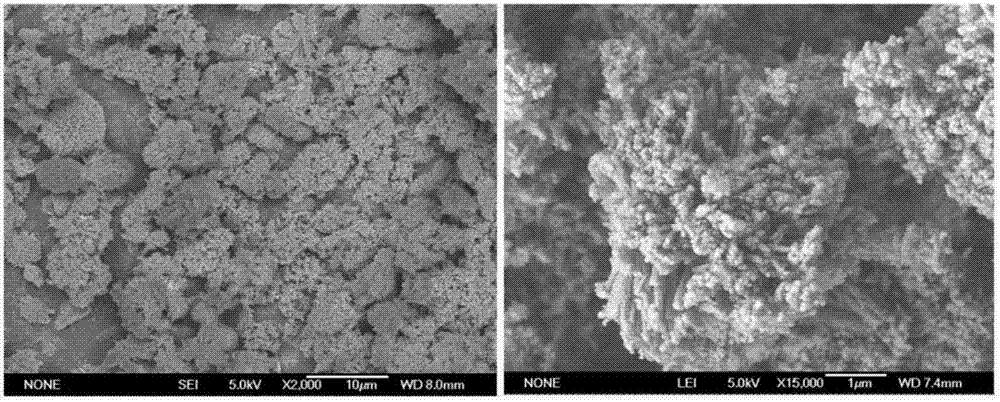 Sea-urchin-shaped hiberarchy cobaltosic oxide nanosphere and preparing method thereof
