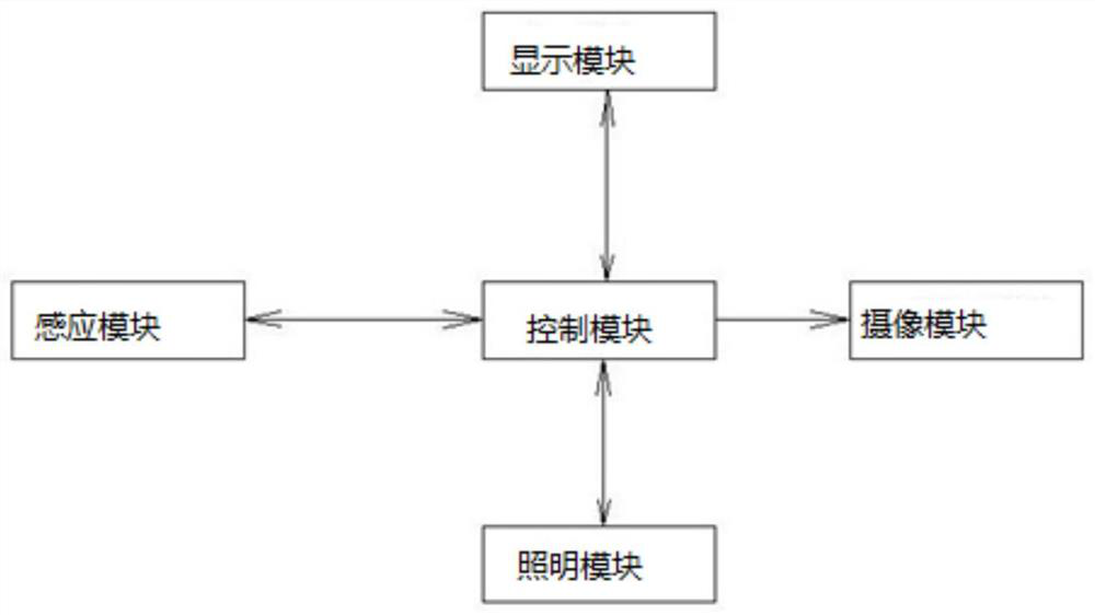 Combustible ice detector