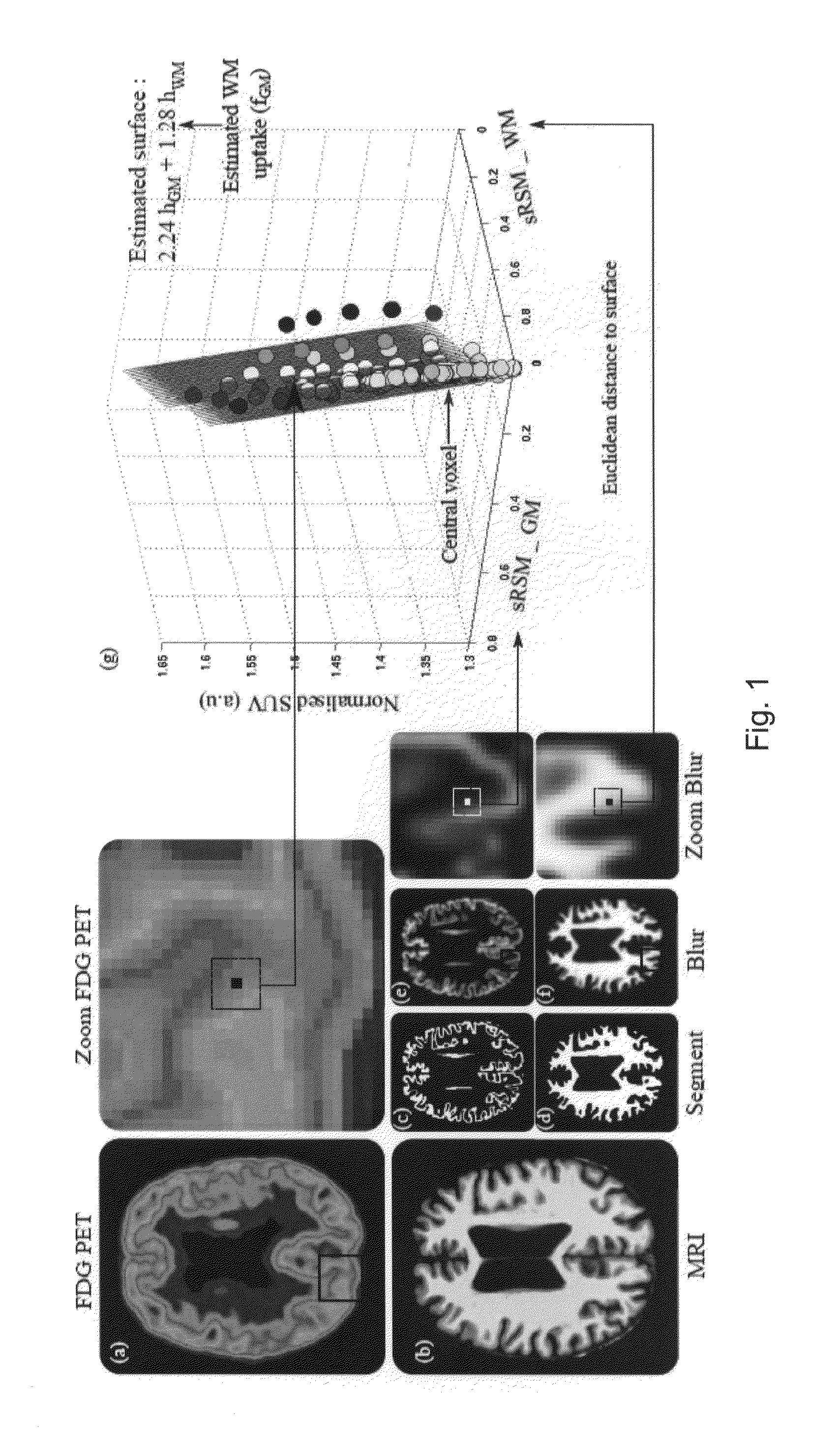 Method for improved estimation of tracer uptake in physiological image volumes