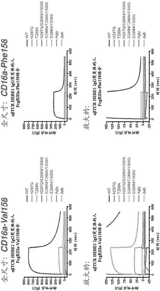 Site-specific antibody-drug conjugation through glycoengineering