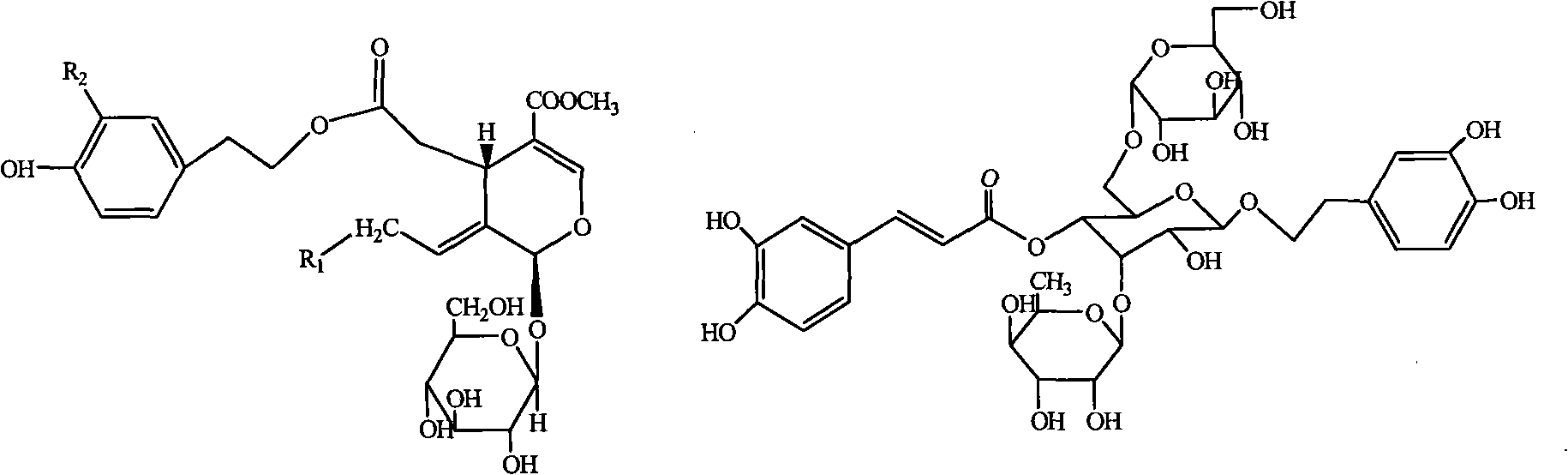 Ginsenoside compound in syringa pubescens turca and extraction method and application thereof