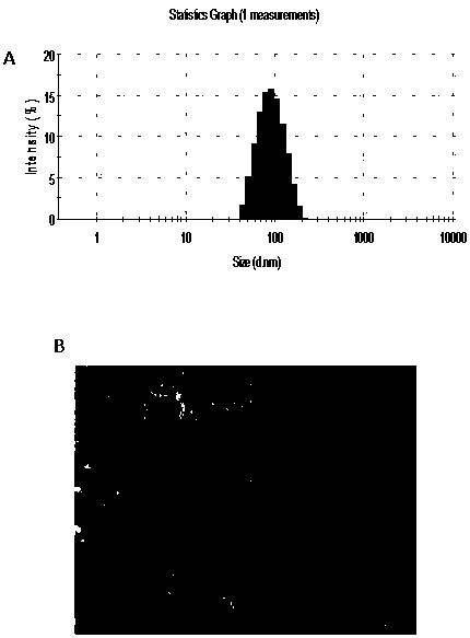 Drug-loading nanoparticles based on ferulic acid polymer, preparation method and applications thereof