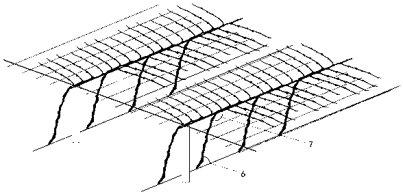 Method suitable for northern grape horizontal connected trellis cultivation